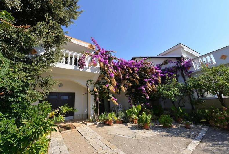 Apartamento Ostaric Mandre Exterior foto